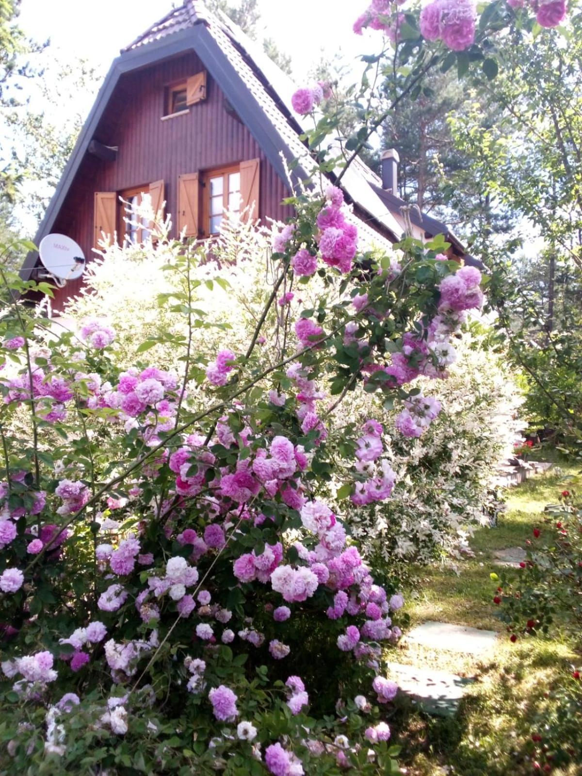 Plitvice Lakes Holiday Lodge Rudanovac Экстерьер фото